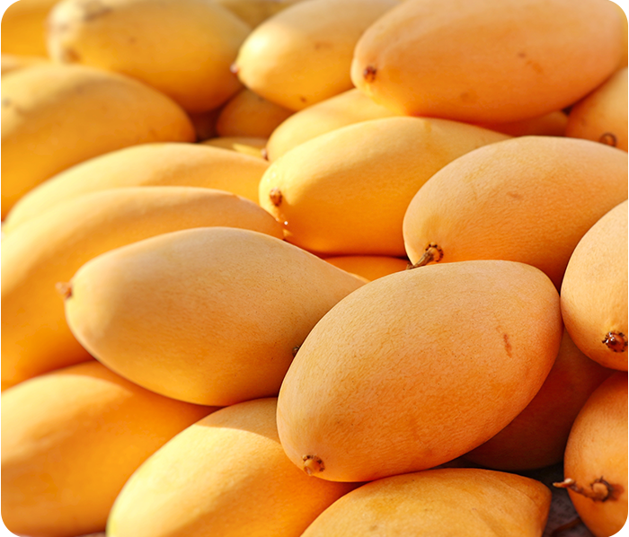 Farm Fresh Badami Mangoes Online in Mumbai - Kimaye