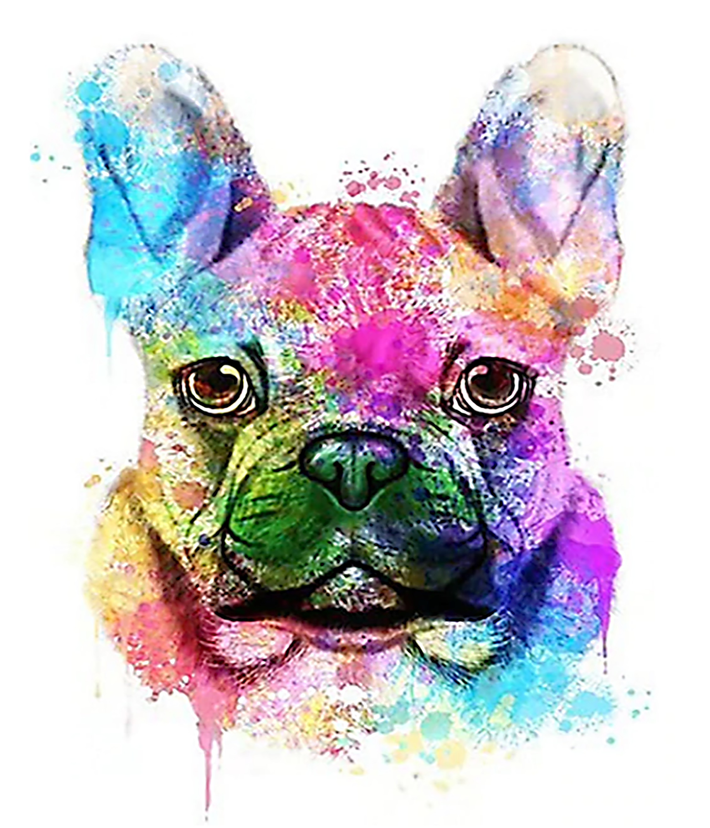 Colorful French Bulldog Artist Dais Arts And Crafts