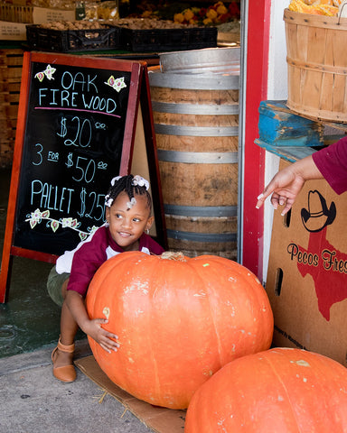 pumpkin photo