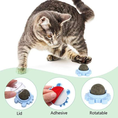 Crab Catnip Ball Toy – Teething Cleaning