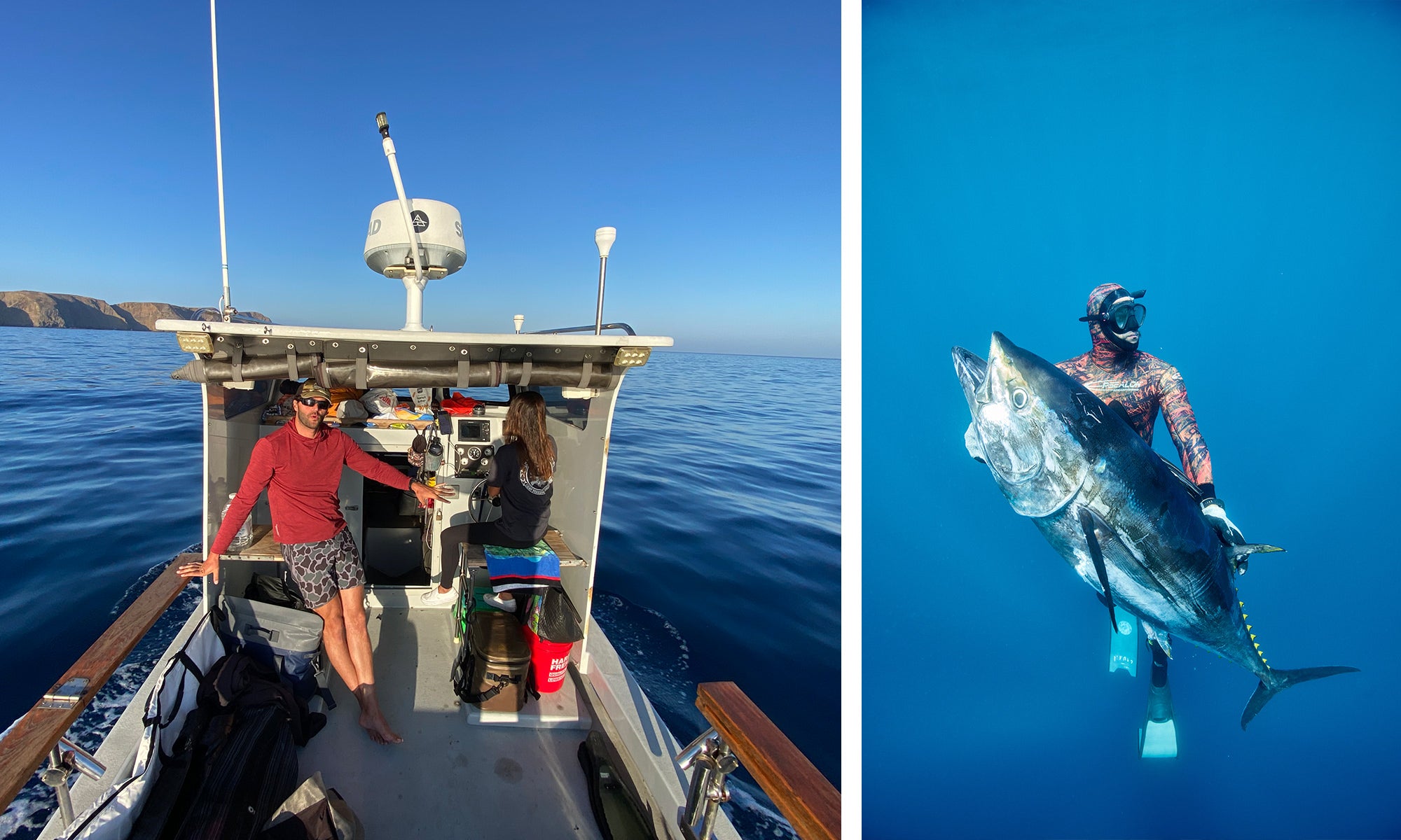 Mike Borchard Spearfishing