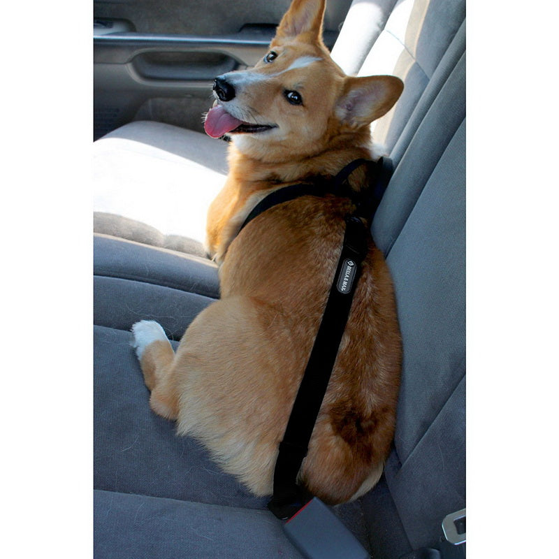 pet seat belt