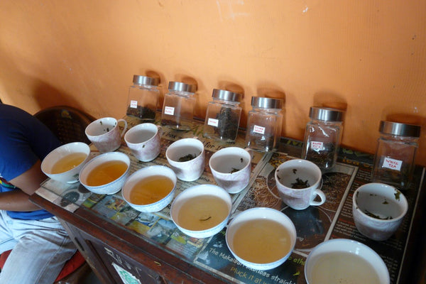Degustación de diferentes tipos de té