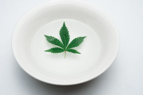 Té de hoja de cannabis 