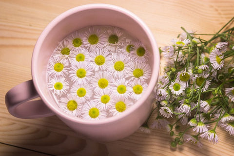 Taza con flores de manzanillas para bebés