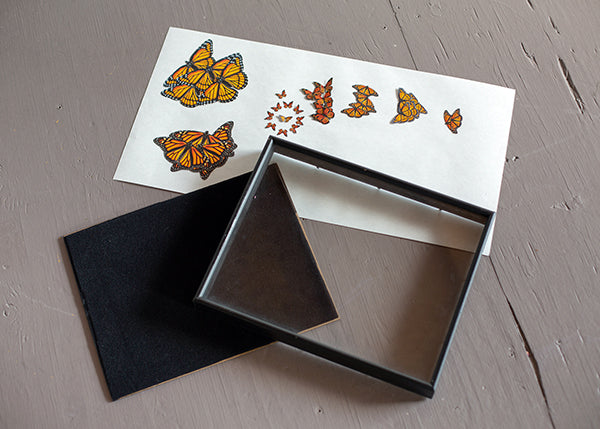 Moth-and-Myth-Butterfly-Kaleidoscope-1