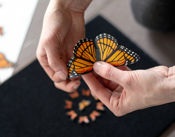 Moth-and-Myth-Butterfly-Kaleidoscope-4