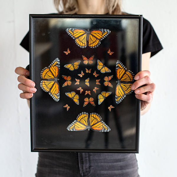 Moth-and-Myth-Butterfly-Kaleidoscope-7