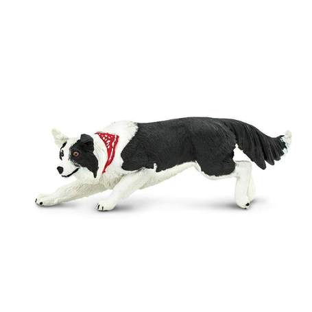 border collie toys