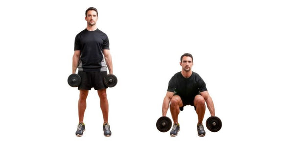 Dumbbell or Barbell Squats