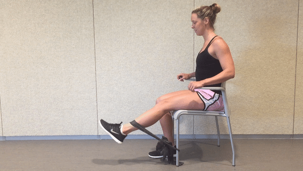 https://cdn.shopify.com/s/files/1/0449/8453/3153/files/Resistance_band_seated_leg_extensions_600x600.gif?v=1641268723