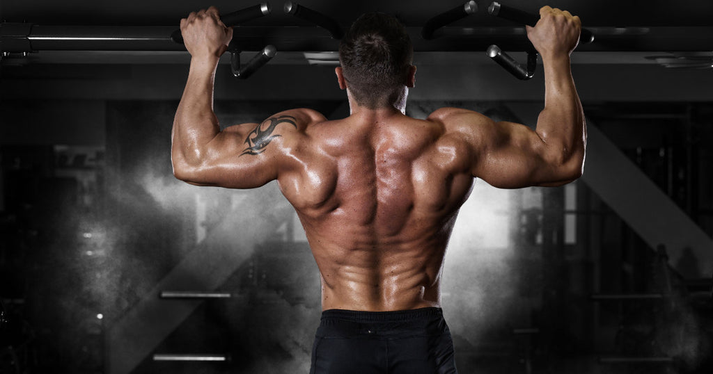 3 Essential Dumbbell Back Exercises for Stronger Lats
