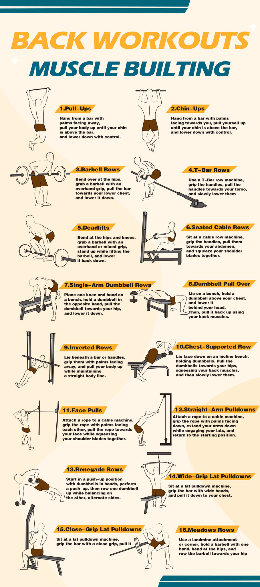 16 Back Workouts for Muscle Building