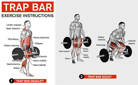 squat and deadlift with Olympic hex bar