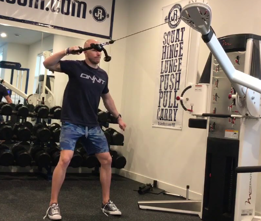 Single Arm Face Pulls