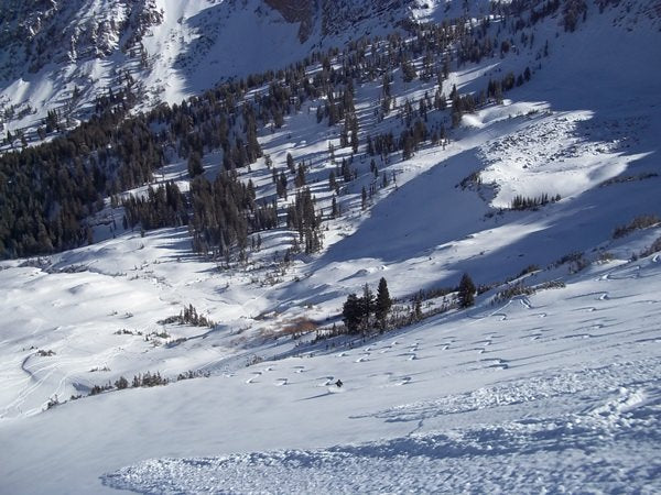 Skiing Cardiac Ridge Utah Wasatch