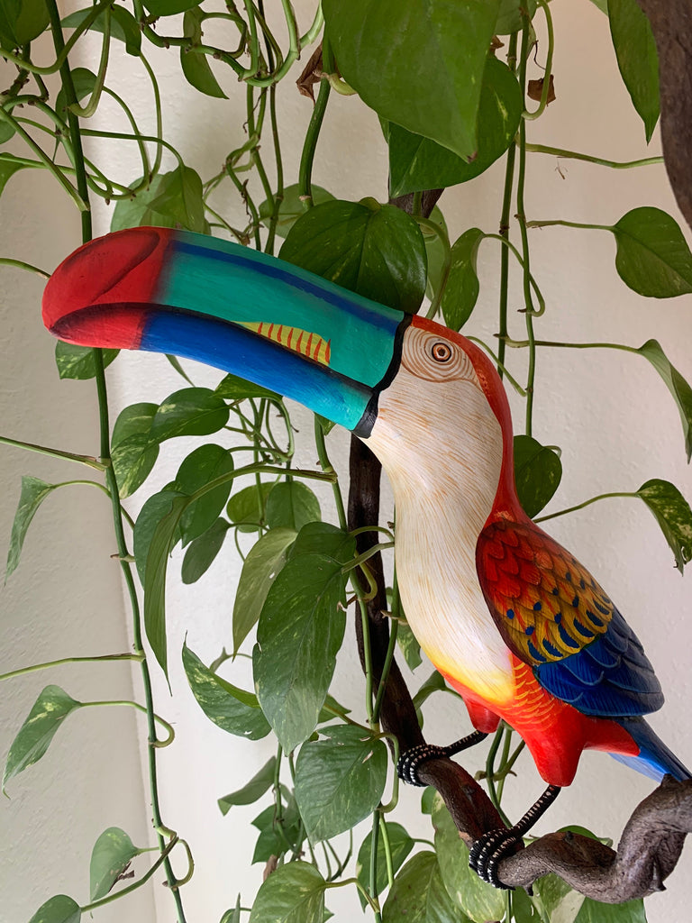 colorful toucan bird