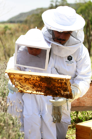 Celebra el Día Mundial de las Abejas y descubre los