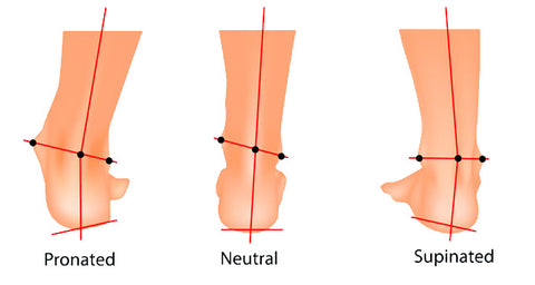 Foot biomechanics