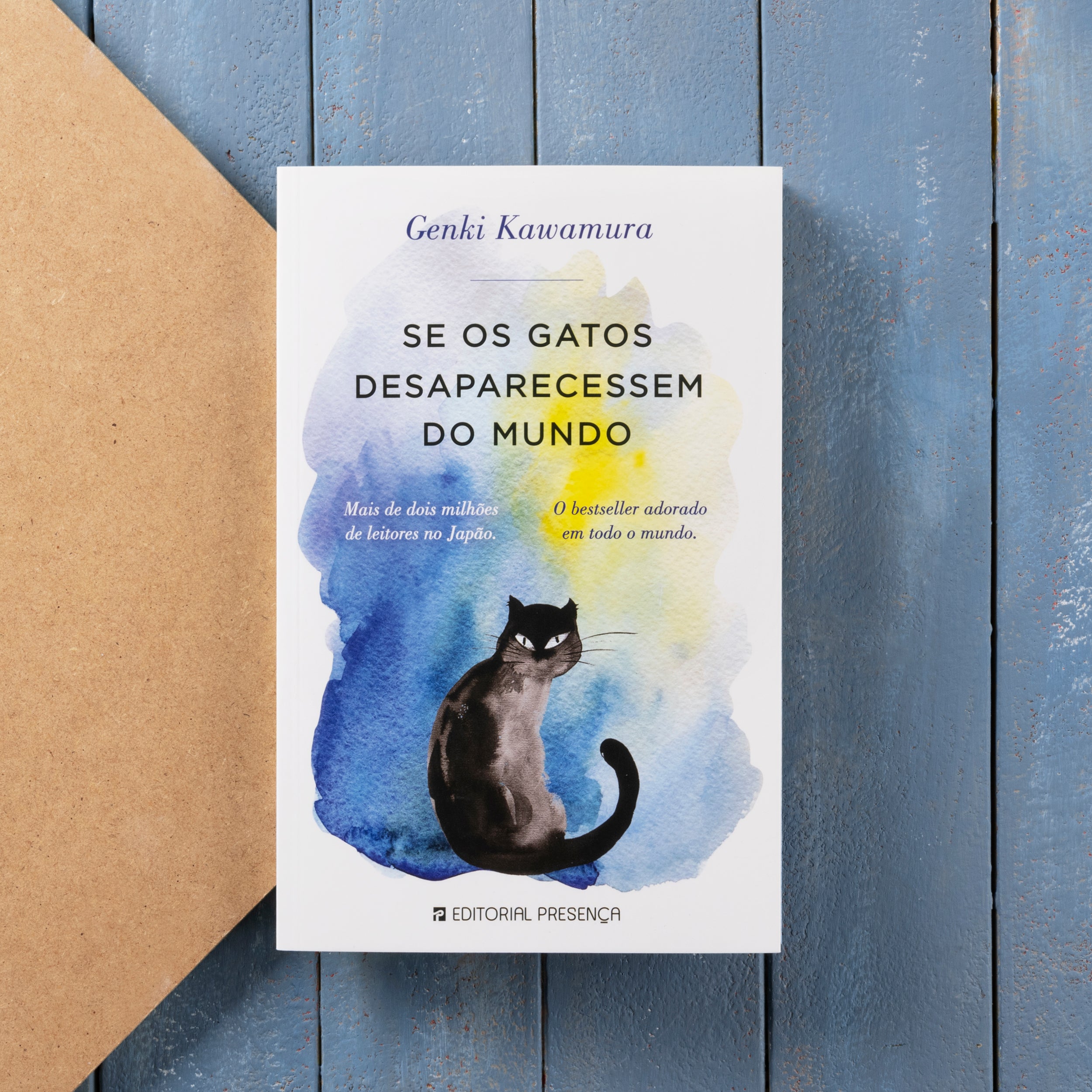 Se os Gatos Desaparecessem do Mundo - Livro de Genki Kawamura – Grupo  Presença