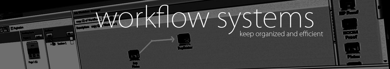 Workflow Systems