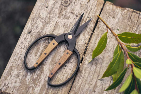 barebones pruning scissors