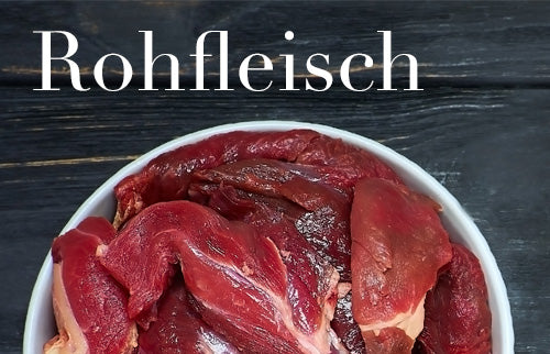 Rohfleisch für Hunde