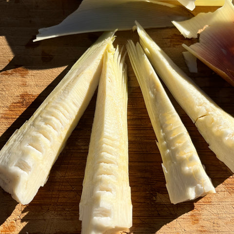 trimmed bamboo shoots ready to be cooked.