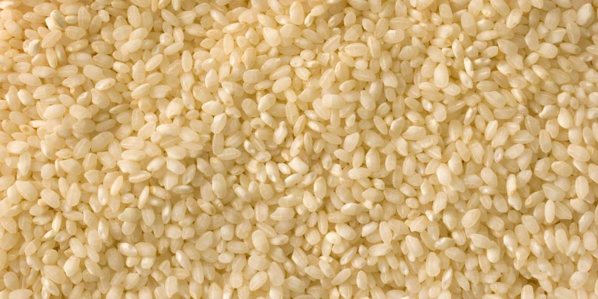 spanish paella rice bomba rice