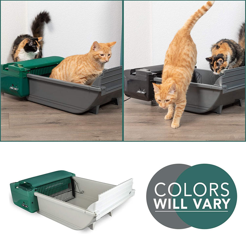 scoop top entry ultra automatic cat litter box