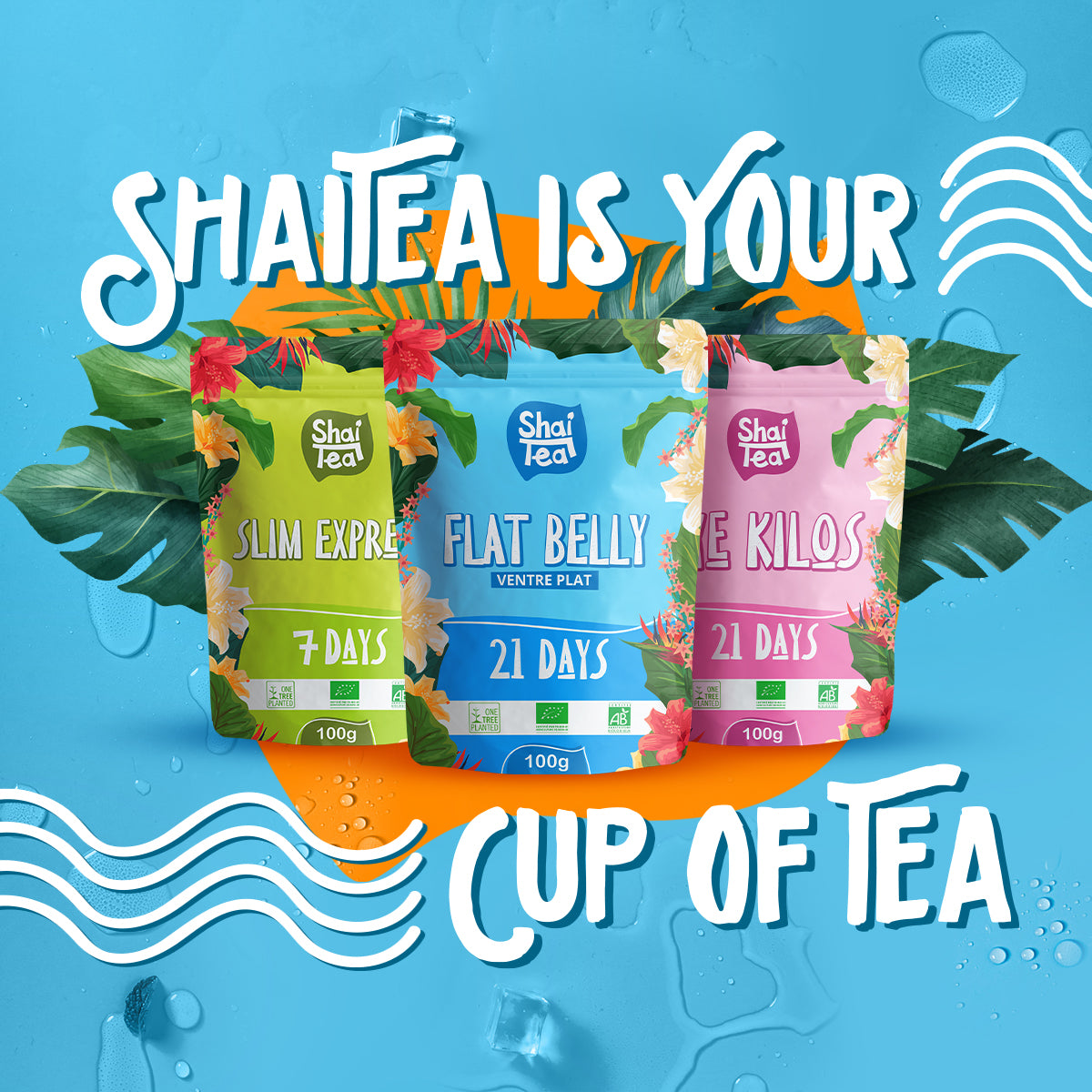 Slim Tea Bestea 28 jours – Shaitea