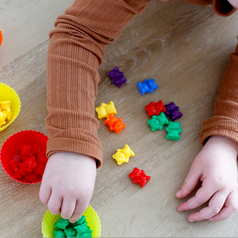 Preschooler playing with rainbow counting bears activity set, putting bears in their matching silicone, muffin cups.