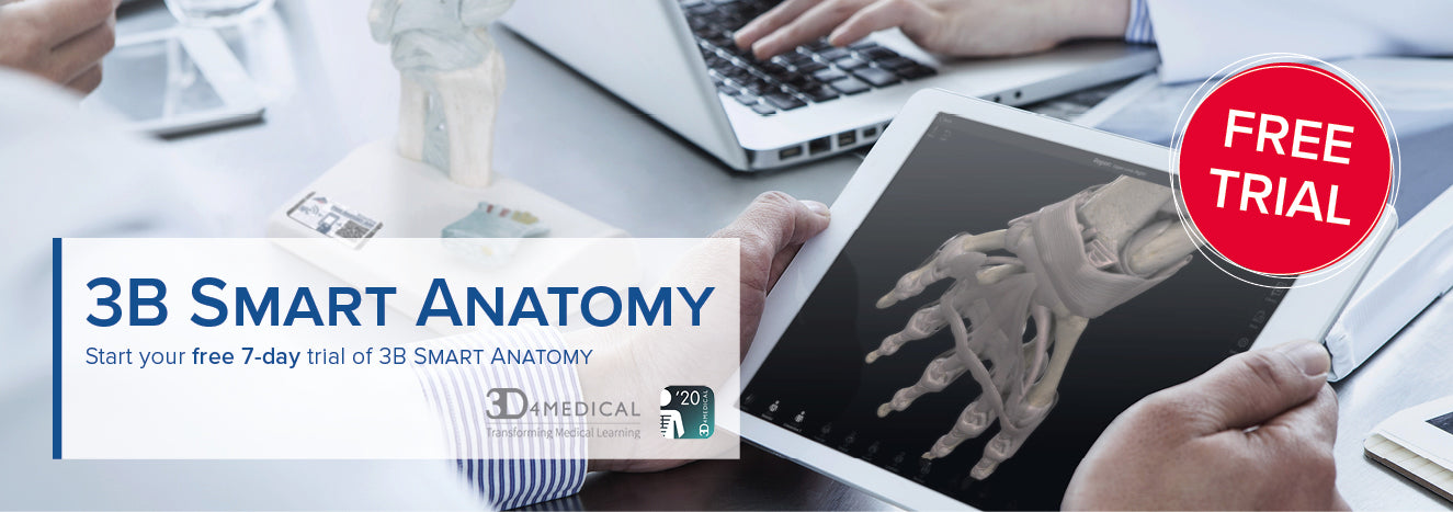 3B Smart Anatomy Banner seven day trial