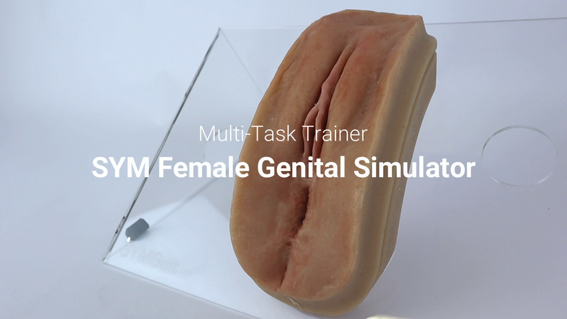 SYM Female Genital Simulator