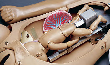 Advanced Childbirth Simulator, Beige