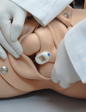 NOELLE® Childbirth Simulator with PEDI® Blue Neonate and OMNI® 2 -  HELAGO-CZ, s.r.o.