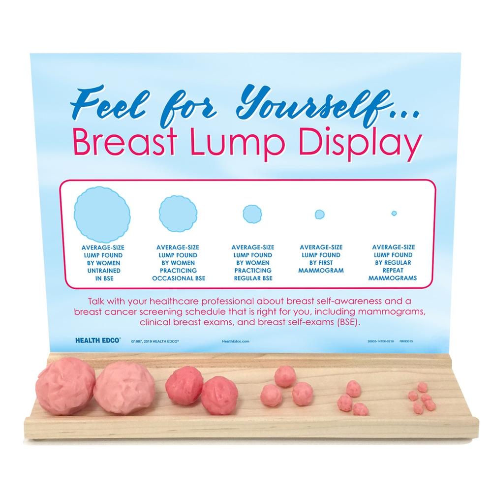 Feel For Yourself: Breast Lump Display –