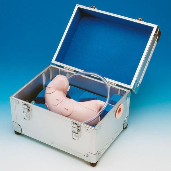 Large intestine, soft/elastic, with windows, Individual Components, Colonoscopy, Medical Phantoms