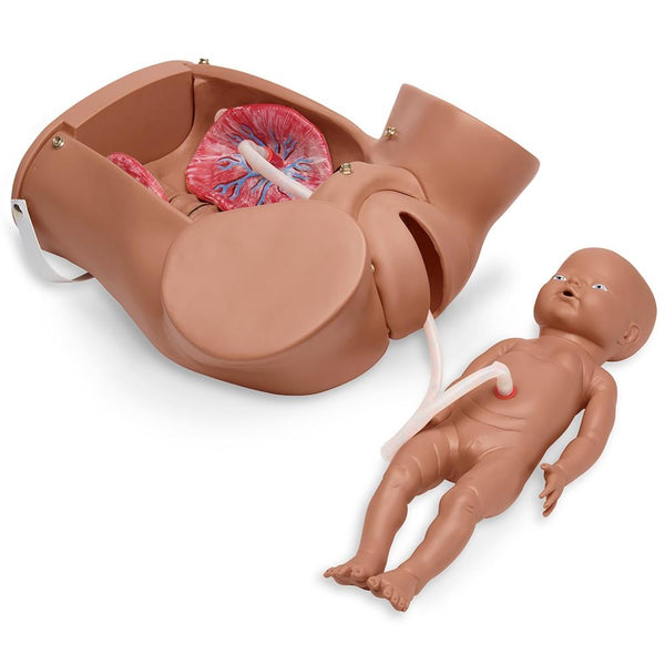 GHDE&MD Advanced Childbirth Simulator, Pregnant Woman and Baby Model,  Childbirth Skill Training Simulator