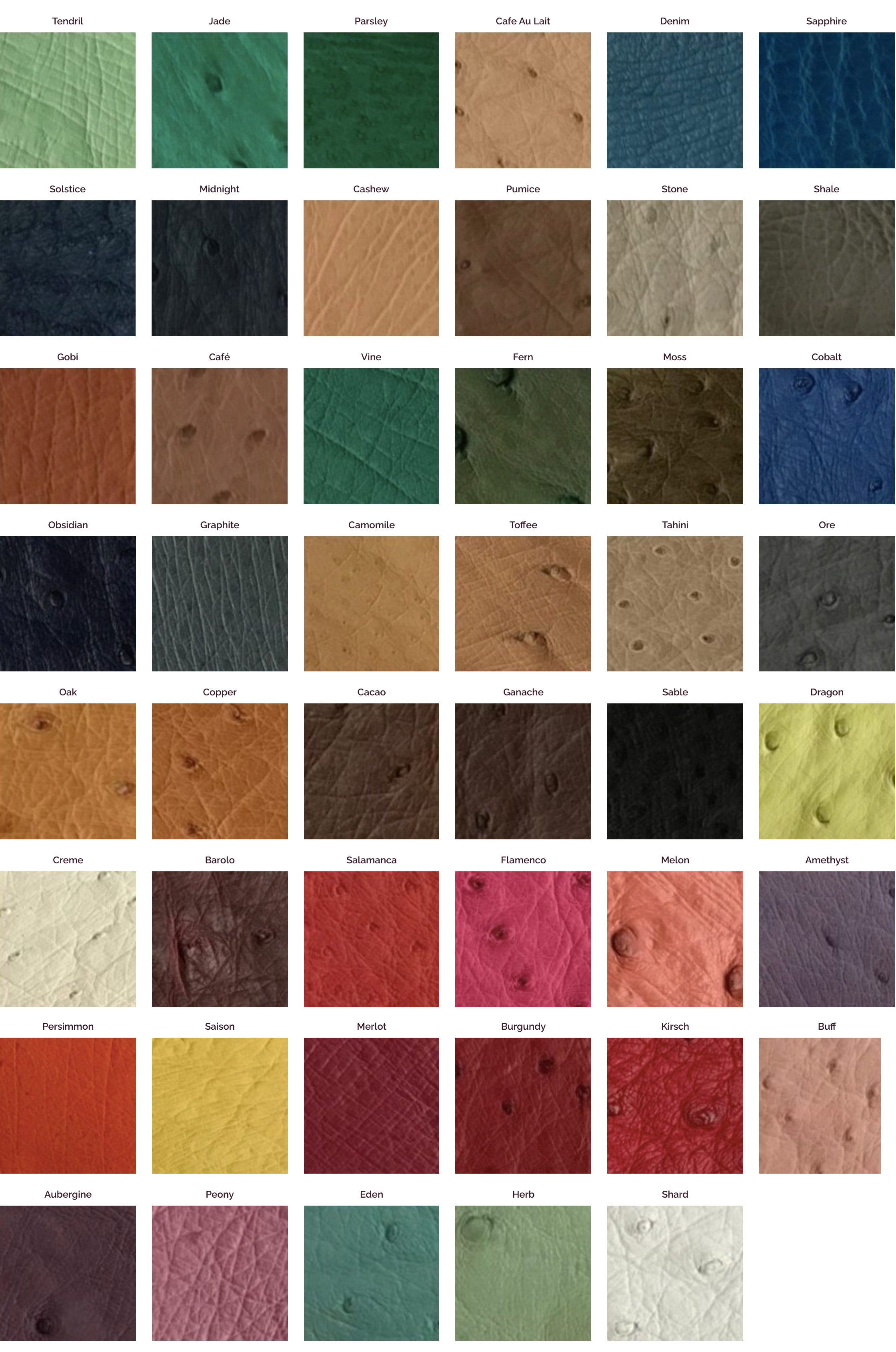 Ostrich Asia - Ostrich Finished Leather 2022 color chart