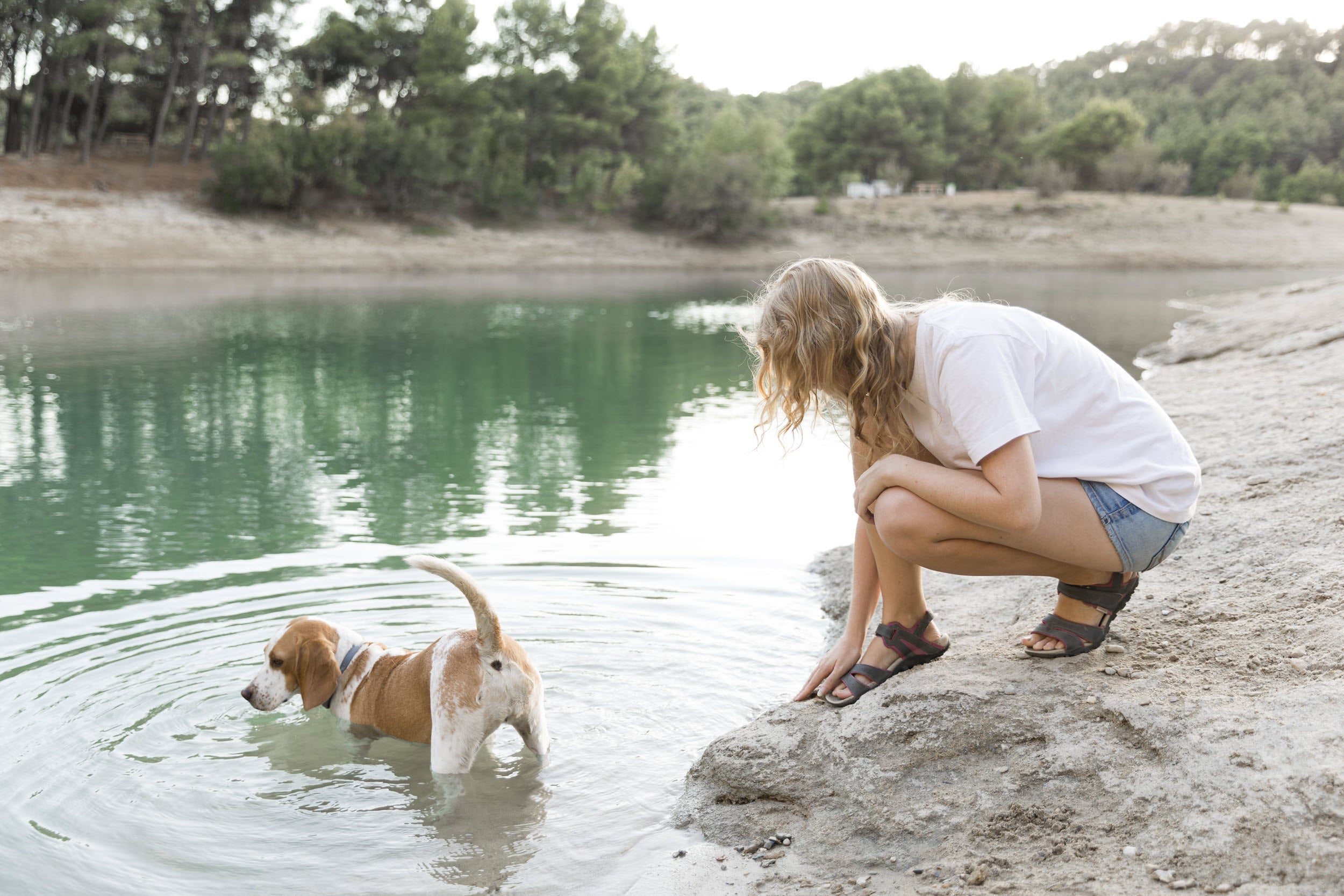 Ein Risiko für Hund und Halter - Hunde sollten niemals aus Wasserpfützen trinken