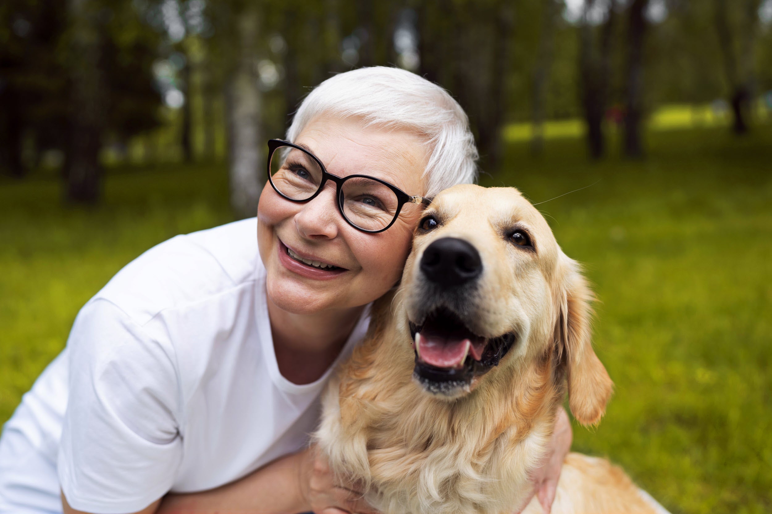 Ratschläge zur richtigen Pflege von älteren Hunden