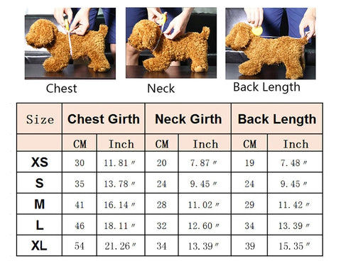 size chart for cat hoodie