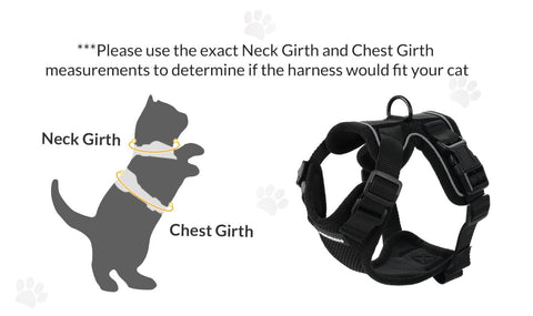 Catventures Leash and Harness
