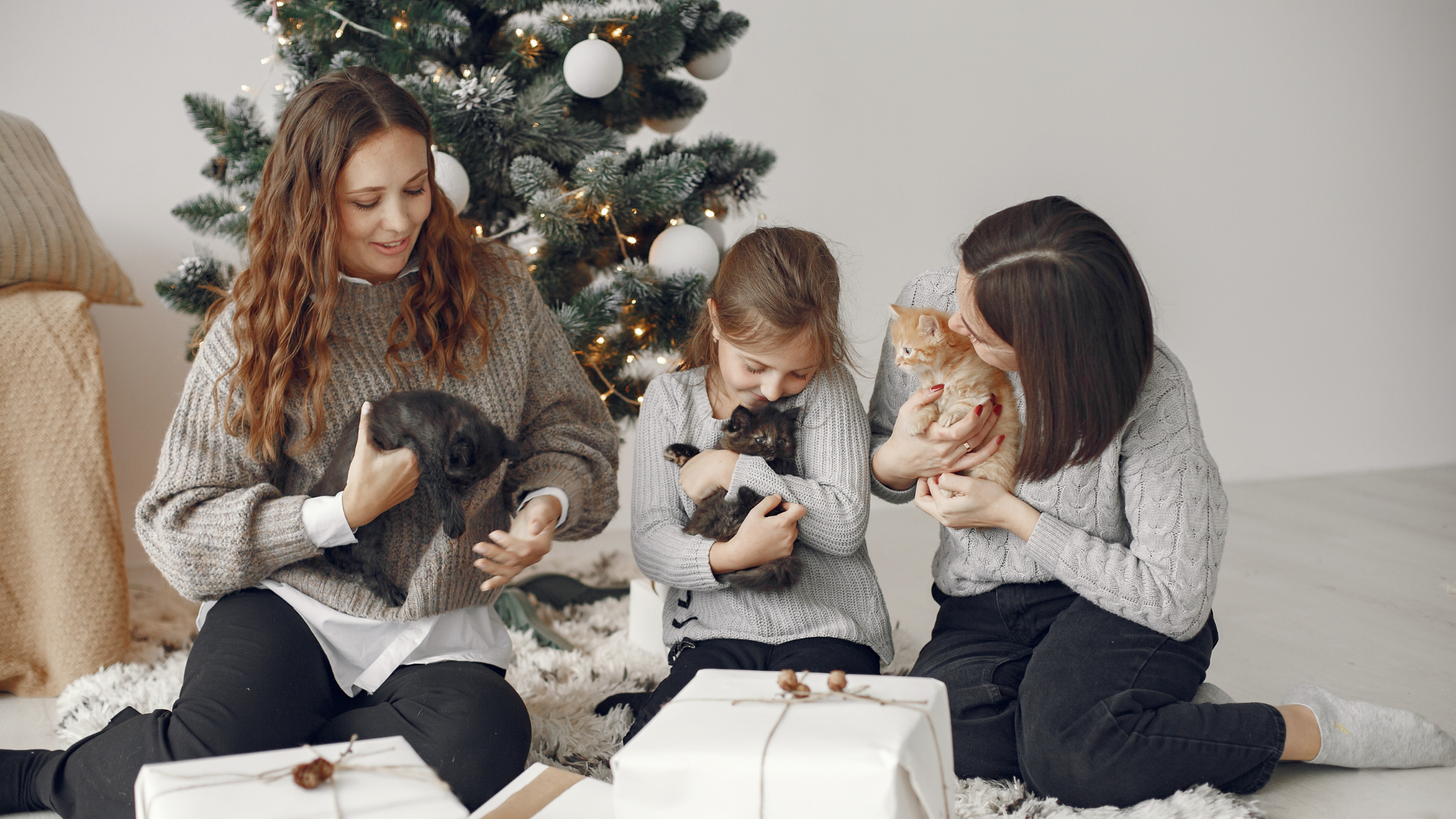 How Your Cat Can Help You Deal With Loneliness Throughout the Holidays