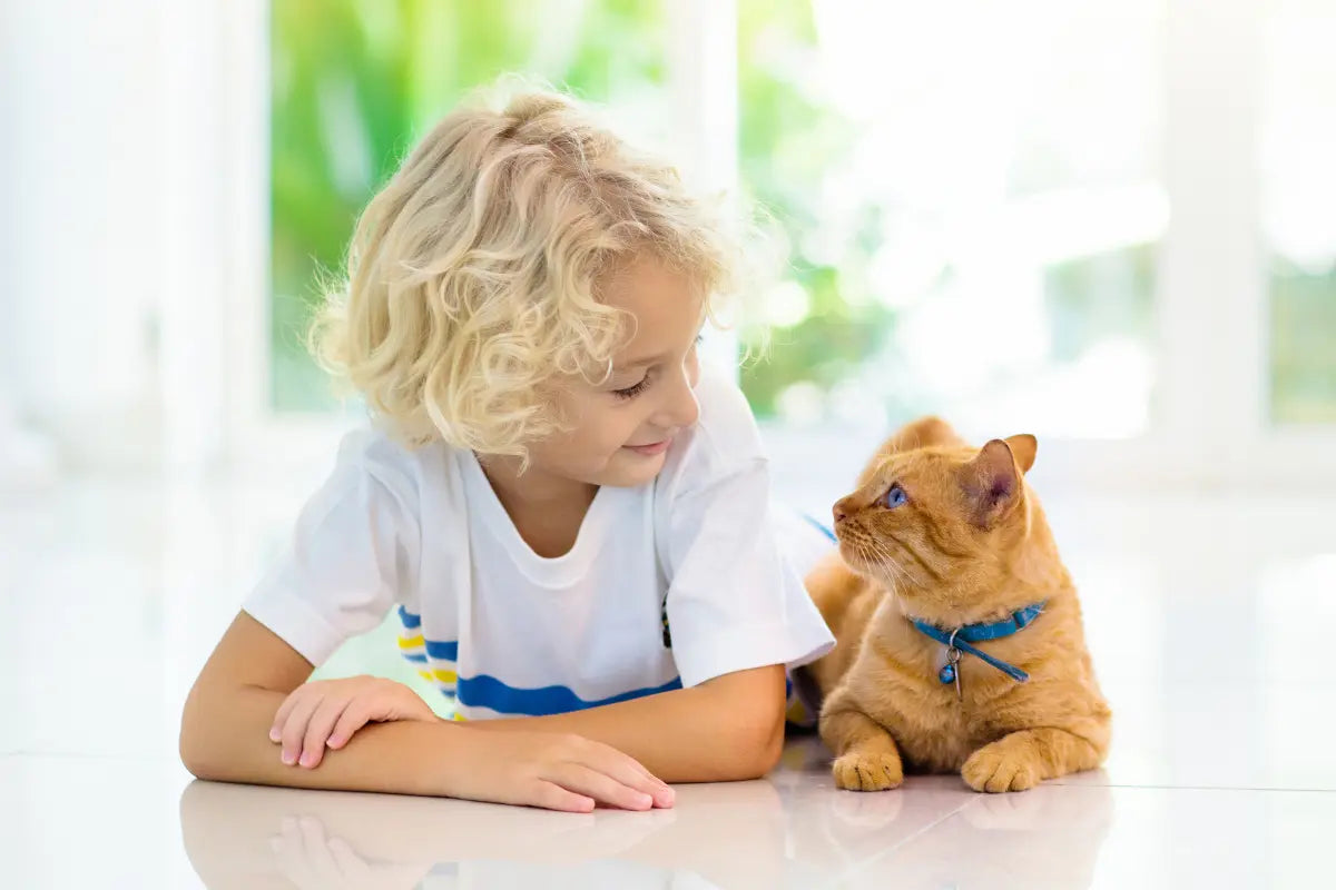 un niño sentado en el suelo con un gato |  gatito