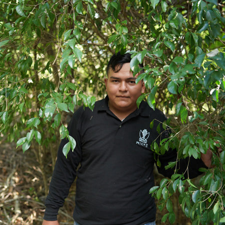 Nikte Beekeeper Carlos Motul Yucatan