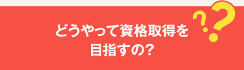 JAOS認定 留学カウンセラーコース – アルクショップ