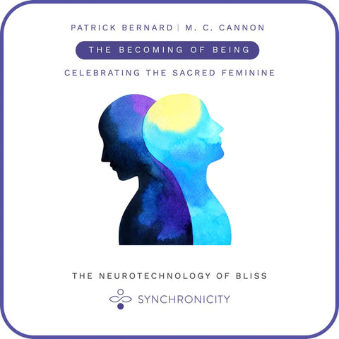 Synchronicity High-Tech Meditation