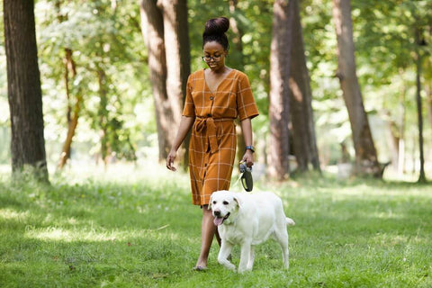 African American young woman walking golden retriever